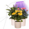 Grow Light