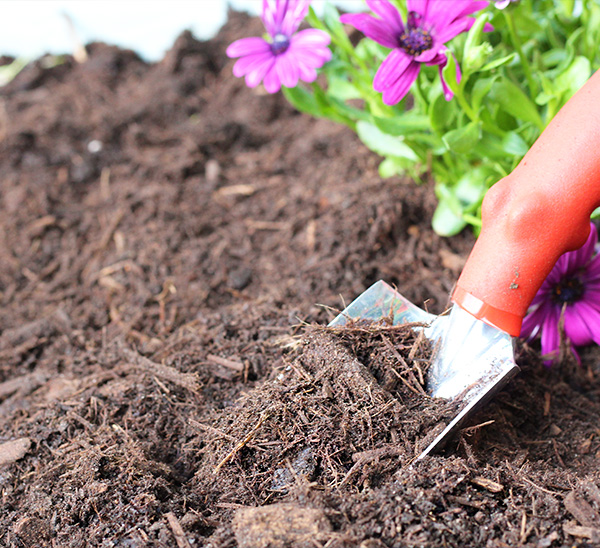 Link to Calloway's Premium Organic Mulch  product page