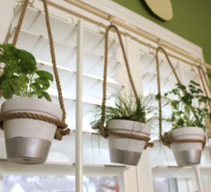 herbpots-feature