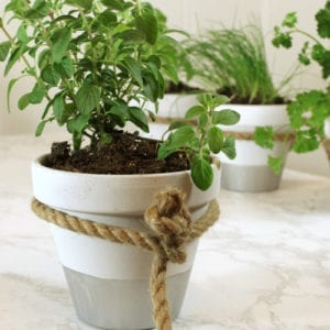 herbpots-step7