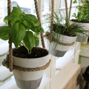 herbpots-step9