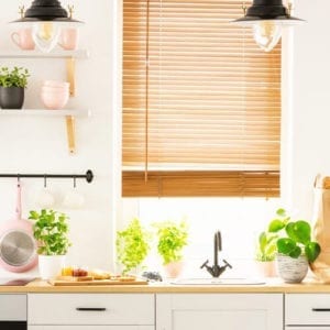 best indoor houseplants