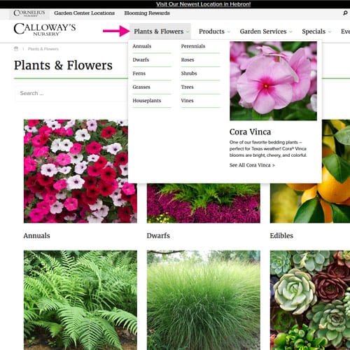 garden wishlist