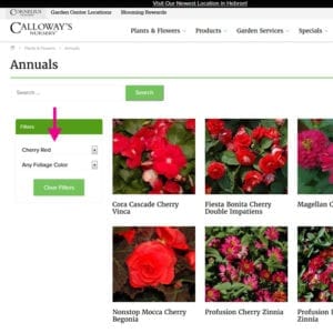 garden wishlist
