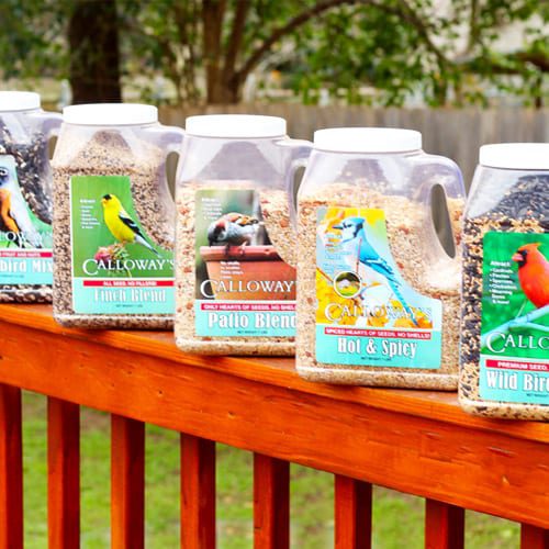All About Bird Seed Calloway's Nursery
