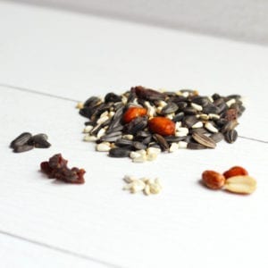 songbird mix