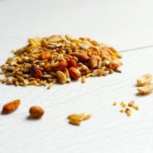 hot spicy bird seeds