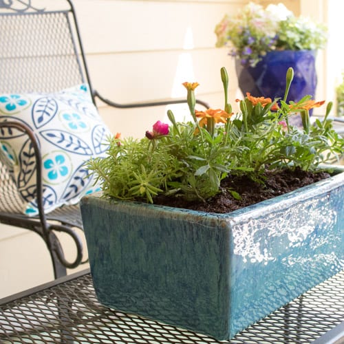 container garden