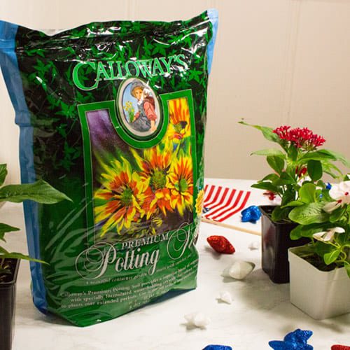 potting soil