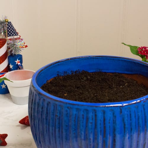 potting soil