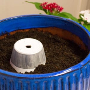 potting soil