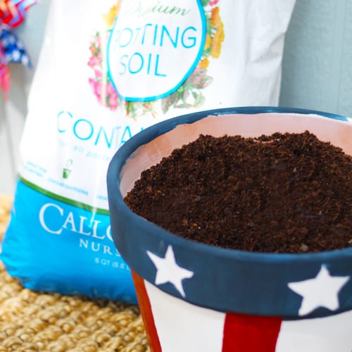 potting soil