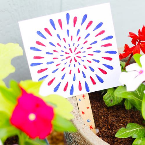 firework plant tag