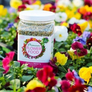 premium flower food