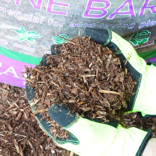 calloways pine bark mulch gardening tips