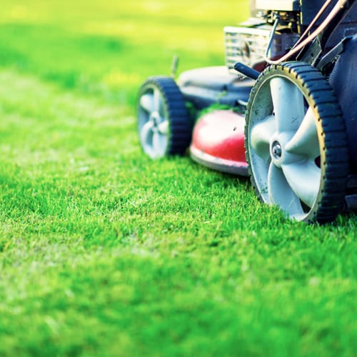 moving lawn