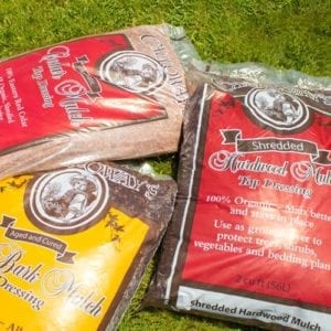 mulch