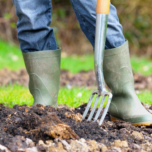 fall planting