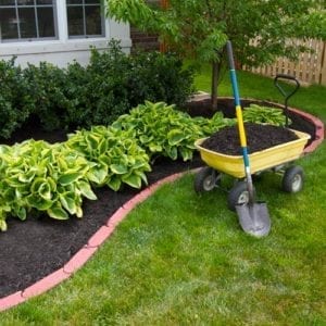 mulch