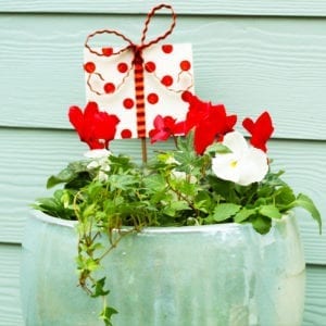 winter container garden ideas