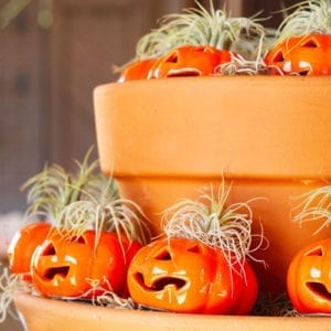 pumpkin planters