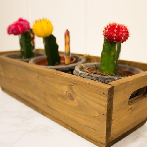gift ideas