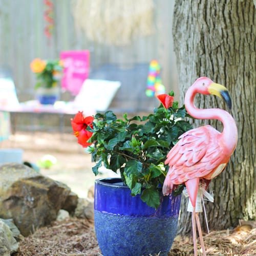 tropical hibiscus decor
