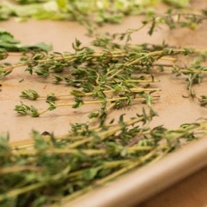 drying fresh herbs