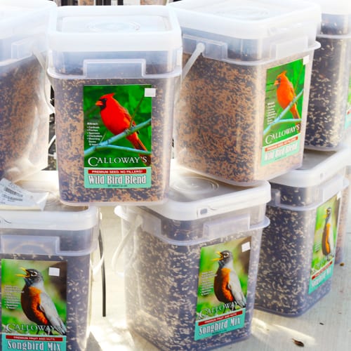 bird seed
