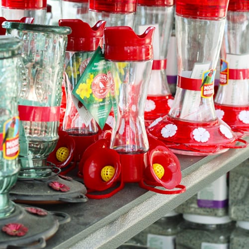 hummingbird feeders