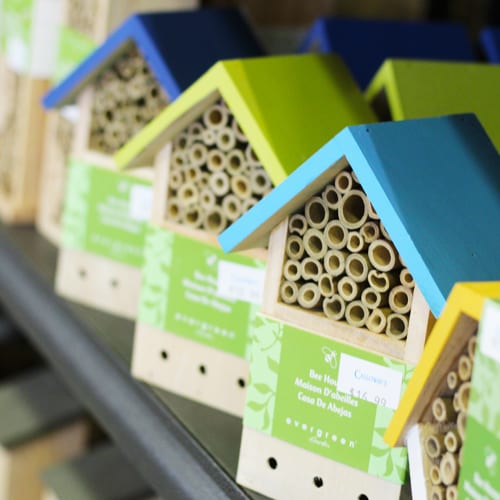 bee house