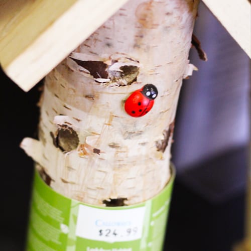 ladybug house