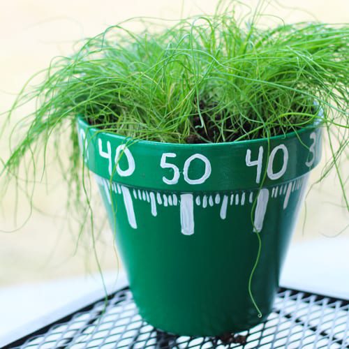 plant chives in pottery