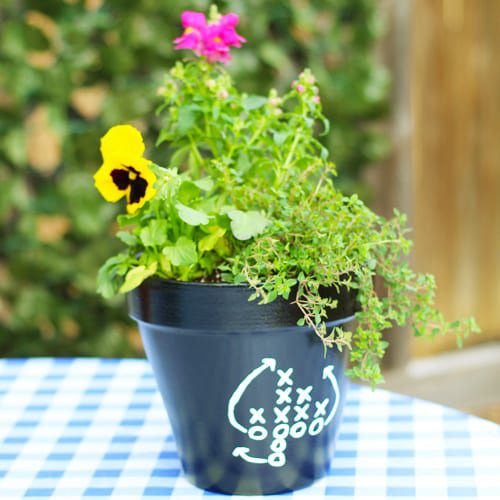 sun loving container garden for football party