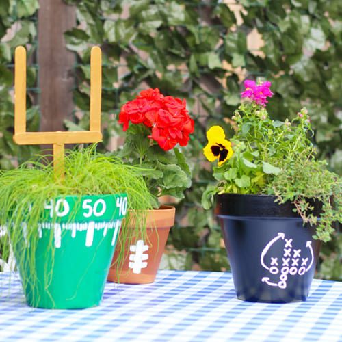 football themed container gardens