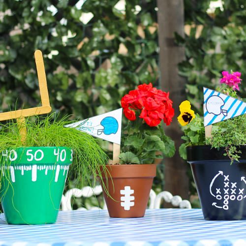 football plant tags in pottery