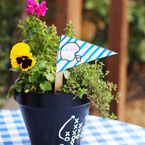 football themed container garden