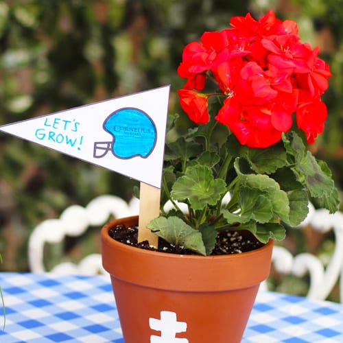 geranium football pottery