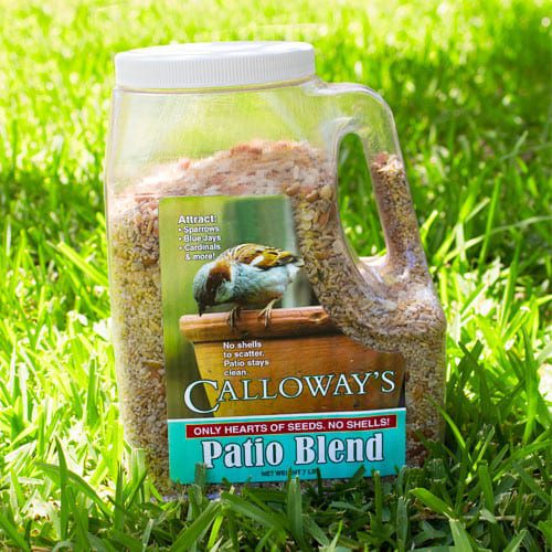 patio blend bird seed