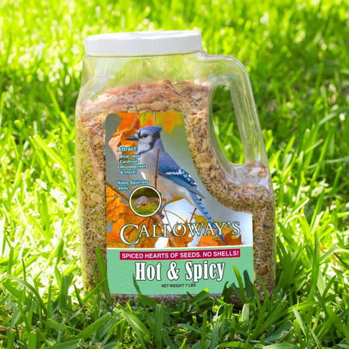 hot and spicy bird seed