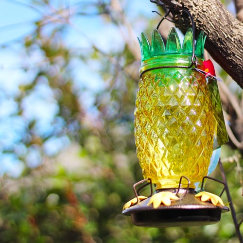 Pineapple Shaped Bird Feeder for DIY Bird Seed Bells | Calloway's Nursery