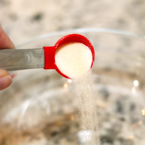 Cup of Unflavored Gelatin for DIY Bird Seed Bells | Calloway's Nursery