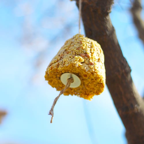 Bird Seed Bell Hanging on a Tree for DIY Bird Seed Bells | Calloway's Nursery