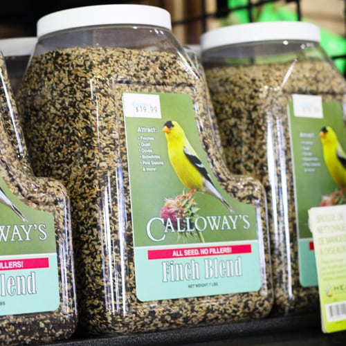 Calloway’s Patio Blend for DIY Bird Seed Bells | Calloway's Nursery
