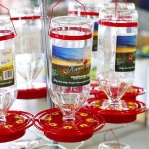 hummingbird feeder