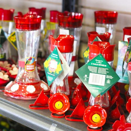 Hummingbird Feeders for DIY Bird Seed Bells | Calloway's Nursery