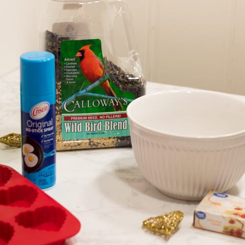 bird seed ornaments