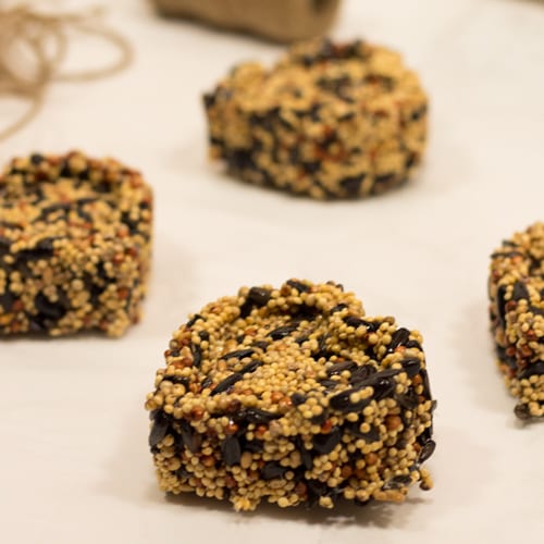 calloway's bird seed