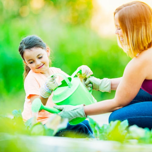 watering plants