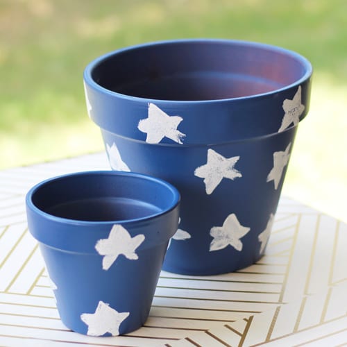 plant pottery with stars